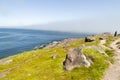 View from Cape Spear Walking trails