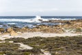 Cape St. Francis coast on Garden Route, South Africa Royalty Free Stock Photo