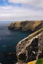 Cape St. Mary's Seabird Ecological Reserve