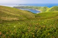 Cape Sukoton, Todo Island, and the Wildflowers of the Cape Tour