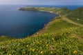 Cape Sukoton and the Wildflowers of the Cape Tour Course on Rebun Island, Japan