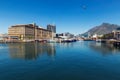 Cape Town harbour view with yachts and boats and a seagull flying