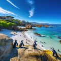 Cape Town Penguin Island in South Africa Royalty Free Stock Photo