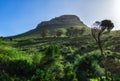 Cape Town, Table Mountain landscape, South Africa Royalty Free Stock Photo