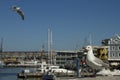 Cape town v&A water front