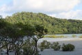 Cape Tribulation