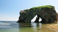 Cape Velikan giant, stone fox nature sculpture, Sakhalin island Russia