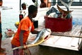 Cape Verdean fisherman Royalty Free Stock Photo