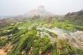 Capela do Senhor da Pedra, in the fog