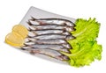 Capelin Royalty Free Stock Photo