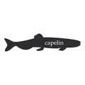 Capelin fish black silhouette on white background Royalty Free Stock Photo