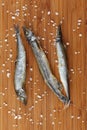 Capelin Royalty Free Stock Photo