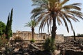 Capernaum on the sea of Galilee Israel