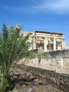 Capernaum synagogue