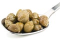Capers in silver spoon Royalty Free Stock Photo