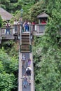 Capilano Bridge in Vancouver Royalty Free Stock Photo