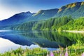 Capilano Reservoir Lake Green Mountains Vancouver British Columbia Royalty Free Stock Photo