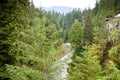 The Capilano River in North Vancouver Royalty Free Stock Photo