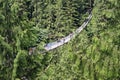 Capilano Suspension Bridge