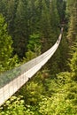 Capilano suspension bridge in Canada Royalty Free Stock Photo