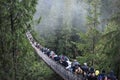 Capilano Suspension Bridge Royalty Free Stock Photo