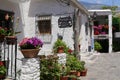 Capileira, Andalucia, Spain - May 29, 2019: Many flowers in flower pots on the street of Capileira Spain