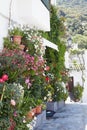 Many flowers in flower pots on a cozy narrow street of white houses of the old town Royalty Free Stock Photo