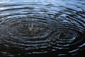 Capillary waves produced by two droplets in water.