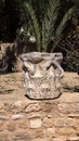 Capital from a column in ruins of Carthage