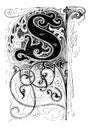 Capital Decorative Ornate Letter S, With Floral Embellishment or Ornament. Vintage Antique Drawing