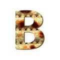 Capital English letter B with matza texture. Font for Passover. Vector illustration on isolated background.