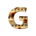 Capital English letter G with matza texture. Font for Passover. Vector illustration on isolated background.