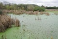 Lagoon with plastic bottles and cups floating on its surface Royalty Free Stock Photo