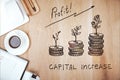 Capital increase Royalty Free Stock Photo