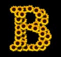 Capital letter B made of yellow sunflowers Royalty Free Stock Photo