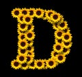 Capital letter D made of yellow sunflowers