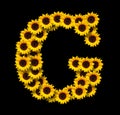 Capital letter G made of yellow sunflowers Royalty Free Stock Photo