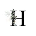 Capital letter H decorated with golden flower and leaves. Letter of the English alphabet with floral decoration. Green foliage