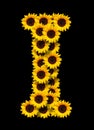 Capital letter I made of yellow sunflowers