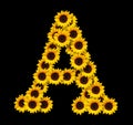 Capital letter A made of yellow sunflowers