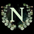 Capital letter N decorated with golden and green leaves. Letter of the English alphabet with floral decoration. Dark watercolor