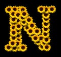 Capital letter N made of yellow sunflowers Royalty Free Stock Photo