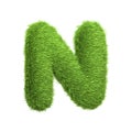 Capital letter N shaped from lush green grass, isolated on a white background Royalty Free Stock Photo