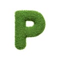 Capital letter P shaped from lush green grass, isolated on a white background