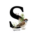 Capital letter S with sparrow bird. Forest alphabet decoration. Watercolor illustration. Beautiful bird, leaves