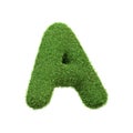 Capital letter A shaped from lush green grass, isolated on a white background Royalty Free Stock Photo