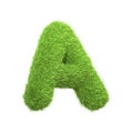 Capital letter A shaped from lush green grass, isolated on a white background Royalty Free Stock Photo