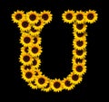 Capital letter U made of yellow sunflowers