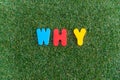 Capital letter `why` word from colorful of wood on grass background. Royalty Free Stock Photo