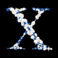 Capital letter X of the alphabet is decorated with jewelry and pearls. Precious blue and white pearls